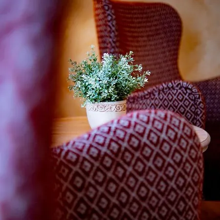 Harzhotel Zum Prinzen Hotel 3*