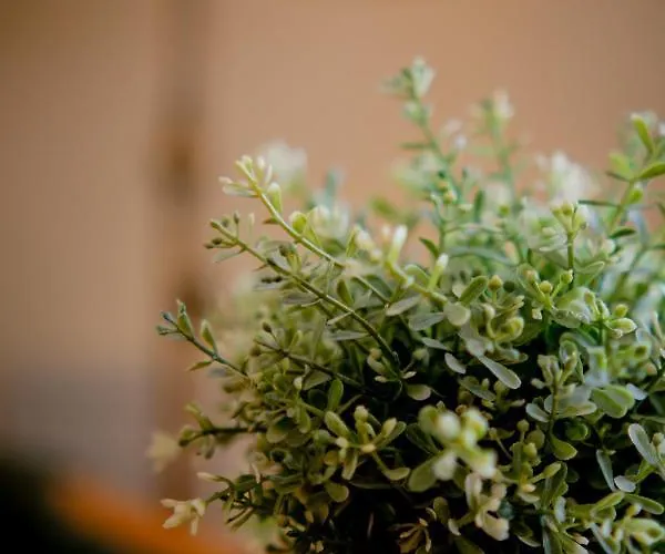 Szálloda Harzhotel Zum Prinzen Clausthal-Zellerfeld